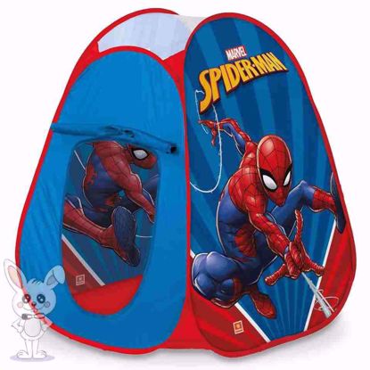 Picture of Spiderman tent