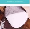 Picture of Horse riding game with music for kids