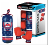 Picture of 315/Boxing Training Set - For Children