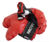 Picture of 315/Boxing Training Set - For Children