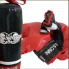 Picture of 315/Boxing Training Set - For Children