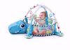 Picture of 4-in-1   Baby Activity Gym & Ball Pit with 30 Balls and 4 Hanging Toys